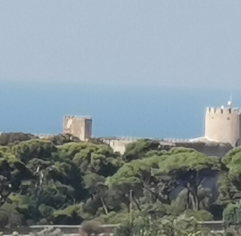 Media Ragusa Extras 844 Default 4498 Conversions 6a44e6292f6aa Img20220924100847 Normalized Crop