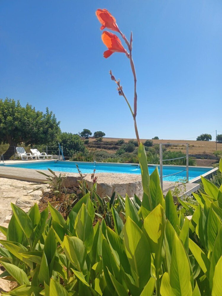 Media Ragusa Extras 3 Default 1259 Conversions 6964d40cb8e38 Whatsapp Image 2022 08 27 At 143356 Normalized Crop