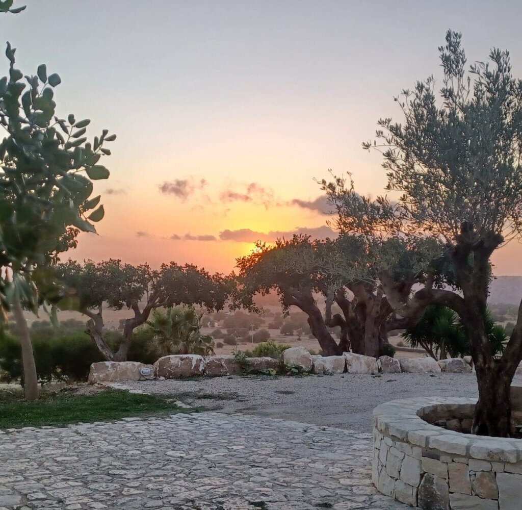 Media Ragusa Extras 3 Default 1261 Conversions 6964d42f0d0ab Whatsapp Image 2022 09 02 At 194557 Normalized Crop