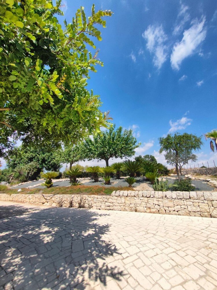 Media Ragusa Extras 3 Default 1262 Conversions 6964d44cb56a7 Whatsapp Image 2023 08 10 At 154007 Normalized Crop