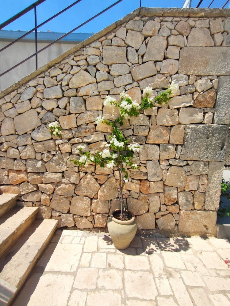 Media Ragusa Extras 3 Default 1263 Conversions 6964d470e1a03 Whatsapp Image 2023 08 10 At 153959 Normalized Crop