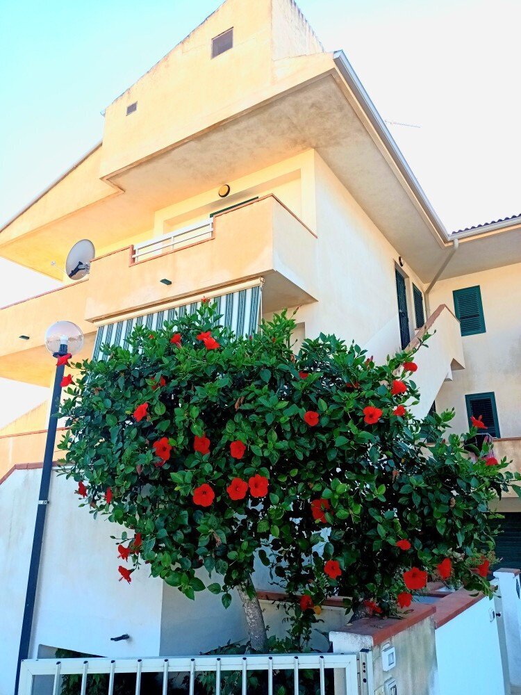 Media Ragusa Extras 138 Default 1587 Conversions 696e57e4c665d 20220709175715 Normalized Crop