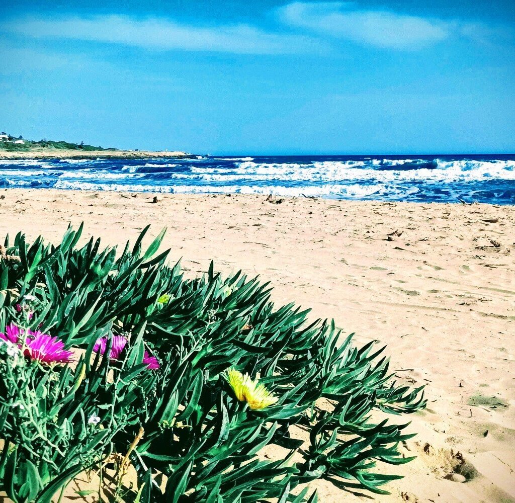 Media Ragusa Extras 138 Default 1588 Conversions 696e57e793366 20230421172508 Effects Effects Normalized Crop