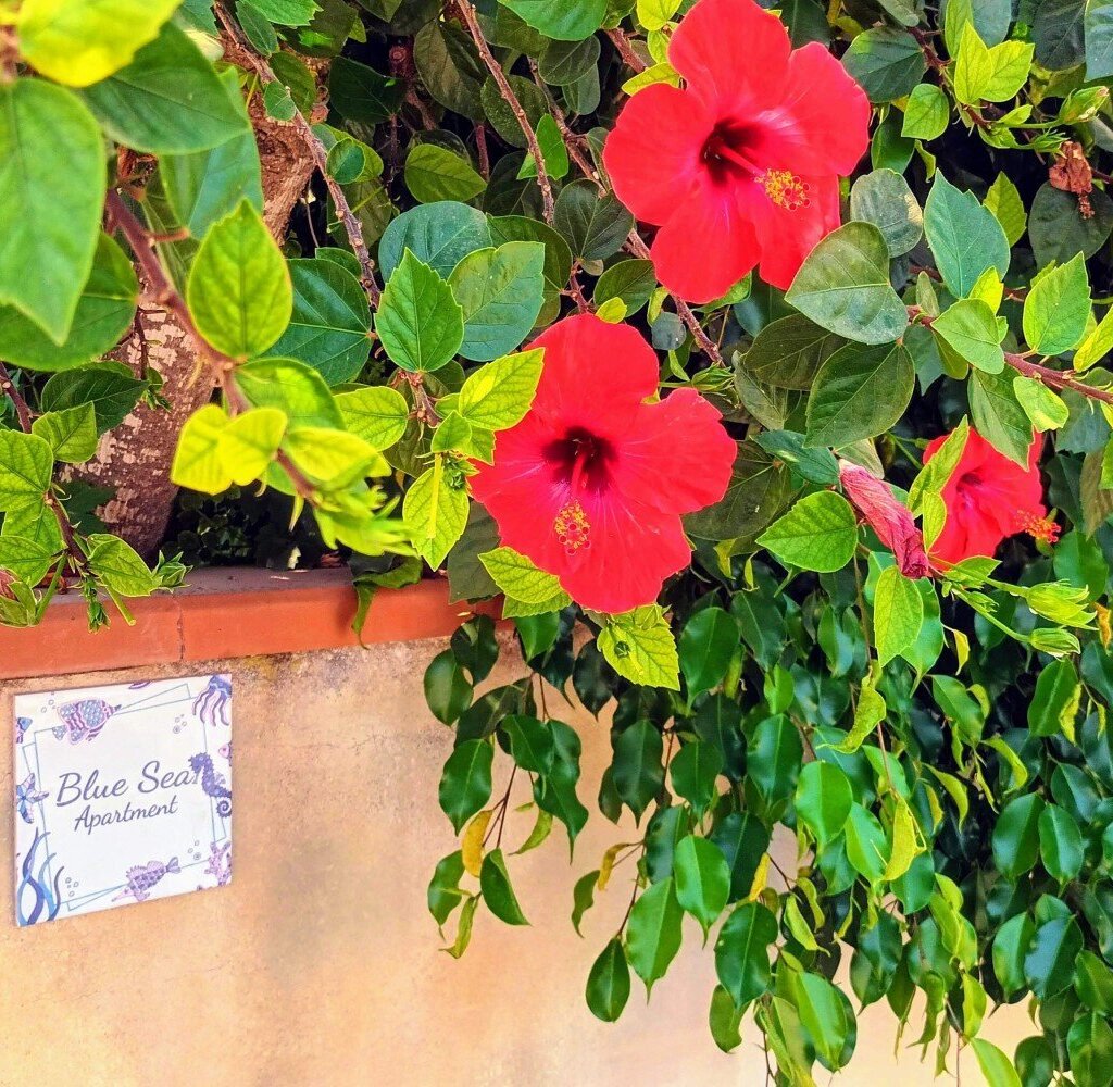 Media Ragusa Extras 138 Default 1591 Conversions 696e57ec6486e 20230824133244 Effects Normalized Crop