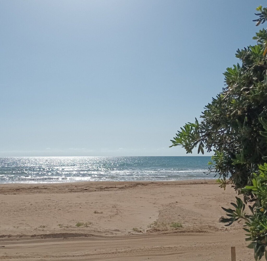 Media Ragusa Extras 138 Default 1595 Conversions 696e57f63d83e 20241029122600 Normalized Crop