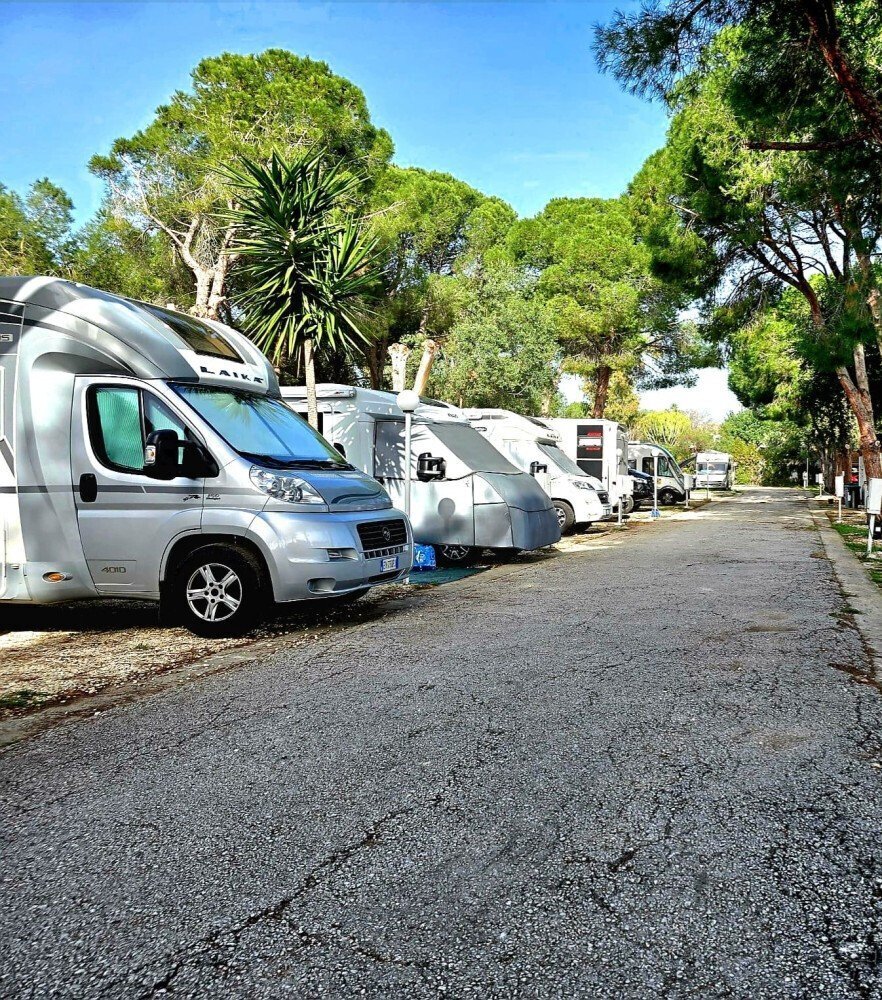 Media Ragusa Extras 168 Default 4260 Conversions 6a180e6267704 Whatsapp Image 2026 05 28 At 103632 Normalized Crop