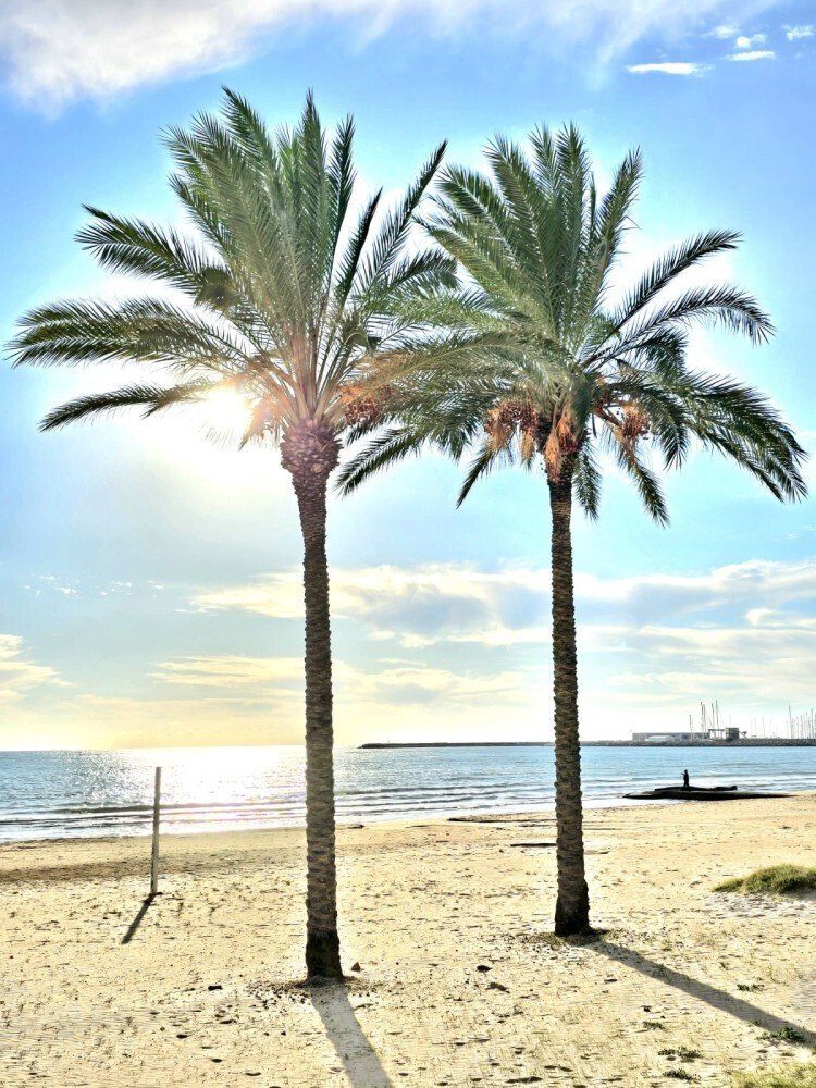 Media Ragusa Extras 168 Default 4261 Conversions 6a180e626464d Whatsapp Image 2026 05 28 At 103633 Normalized Crop