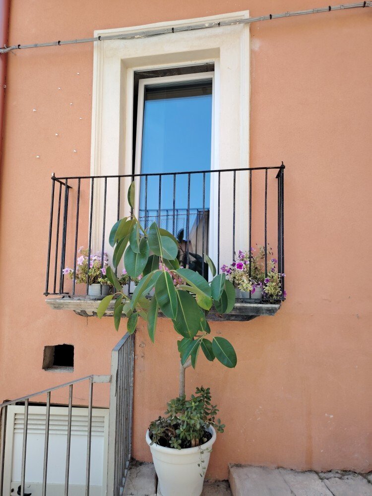 Media Ragusa Extras 453 Default 1859 Conversions 6976274574193 11 Normalized Crop