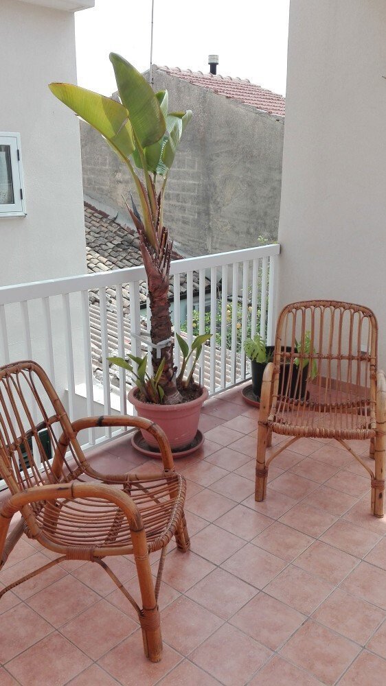 Media Ragusa Extras 556 Default 1963 Conversions 697c960877e26 Veranda Normalized Crop