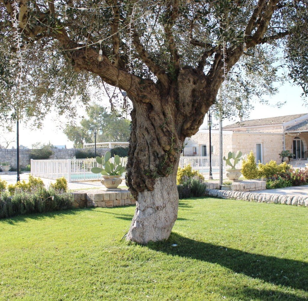 Media Ragusa Extras 44 Default 2472 Conversions 69a6cd861268a Polish20260227170041009 Normalized Crop