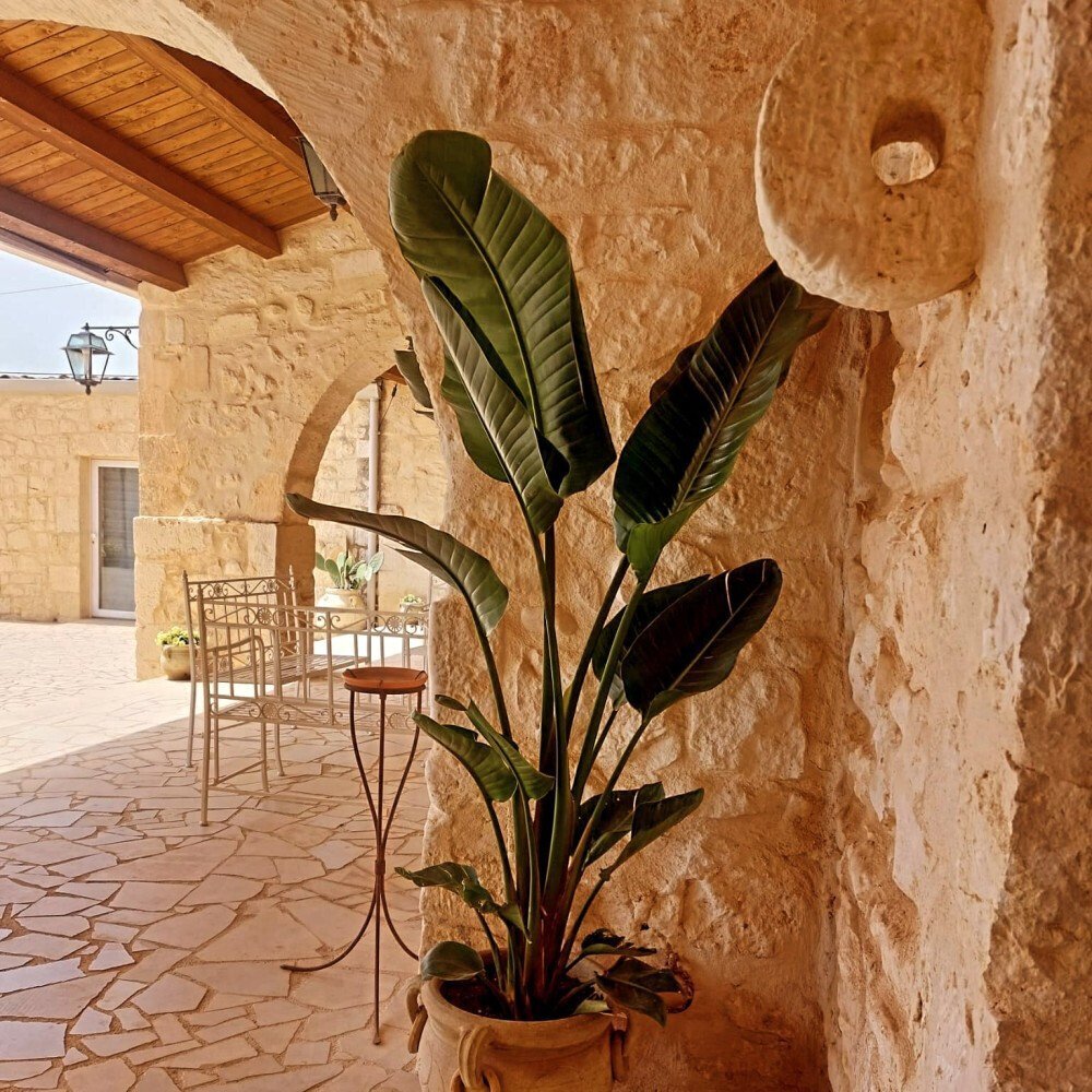 Media Ragusa Extras 44 Default 2479 Conversions 69a6ce040ddb2 Img20240528144332769 Normalized Crop