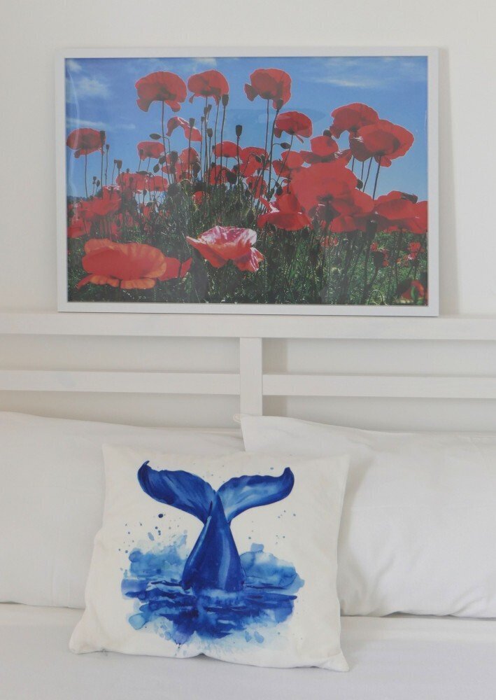 Media Ragusa Extras 631 Default 2431 Conversions 69a09d0c7dad2 P2880252 A Normalized Crop