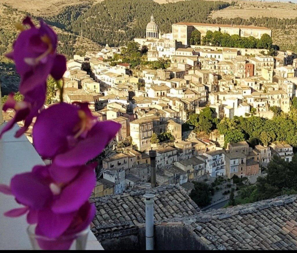 Media Ragusa Extras 276 Default 1120 Conversions 696376bcddfdf Screenshot20260111110124pulse Normalized Crop