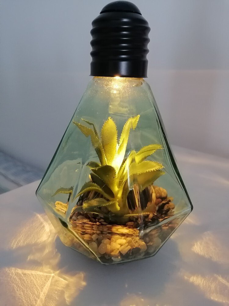 Media Ragusa Extras 58 Default 956 Conversions 695ff65a9642a Img20220614185815 Normalized Crop