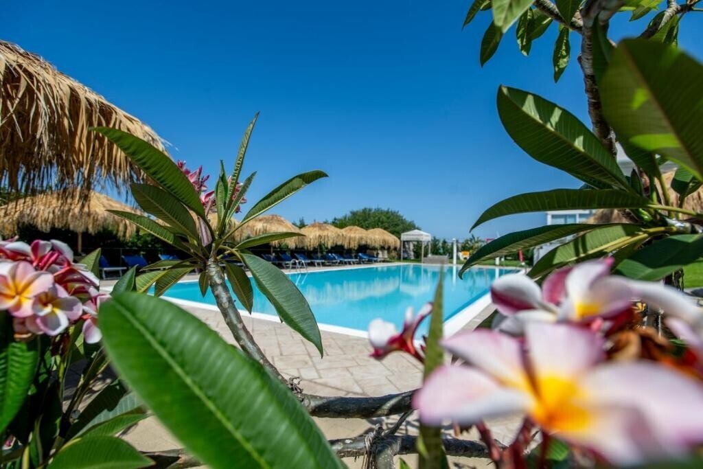 Media Ragusa Extras 486 Default 1862 Conversions 697745cd39f93 Whatsapp Image 2026 01 26 At 114342 Normalized Crop