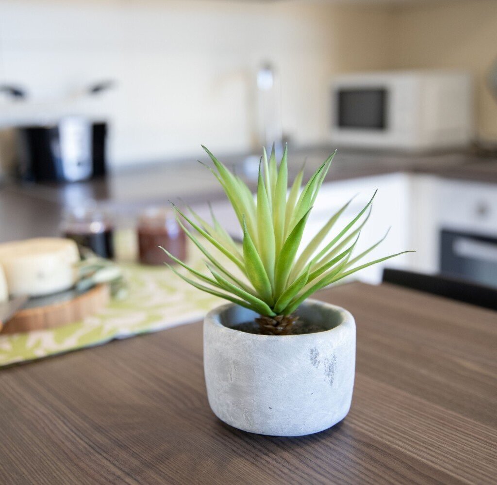 Media Ragusa Extras 683 Default 2994 Conversions 69cd57f030bec Img6348 Normalized Crop