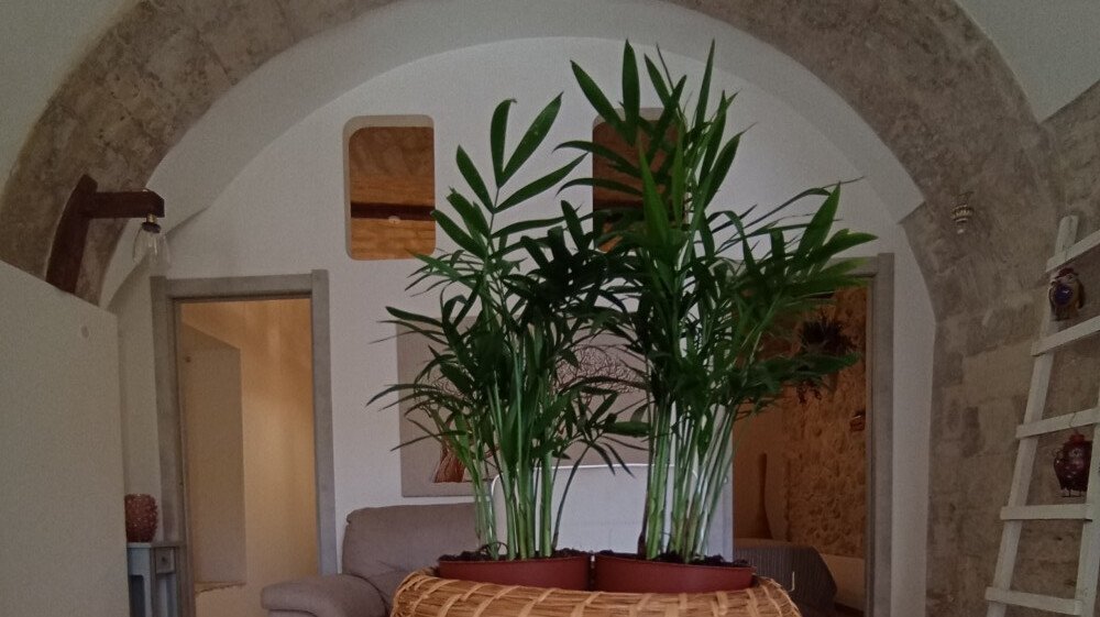 Media Ragusa Extras 222 Default 645 Conversions 6959311a37676 1718558163384 Normalized Crop