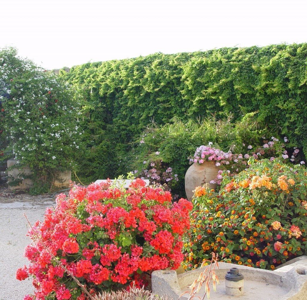 Media Ragusa Extras 371 Default 3375 Conversions 69dfd3dac25a6 Garden 2 Normalized Crop