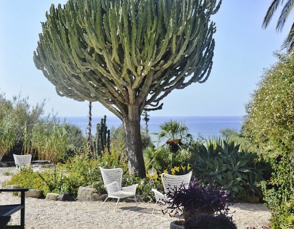 Media Ragusa Extras 371 Default 3377 Conversions 69dfd5093f75f Garden Normalized Crop