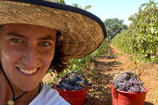 Be Rural: Harvesting