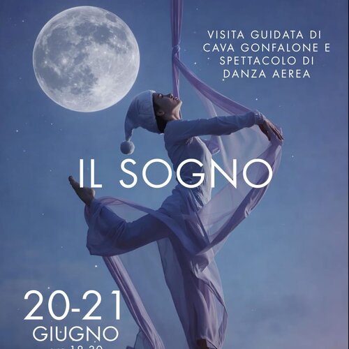 Il sogno - visita guidata e spettacolo di danza aerea