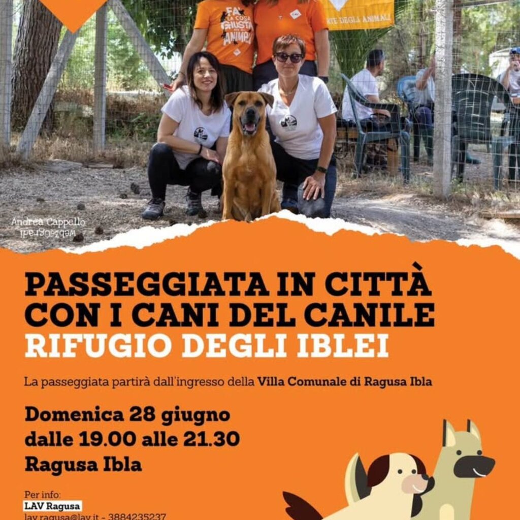 Passeggiata in città con i cani del rifugio