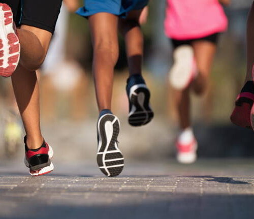 Calendario eventi e Attività sportive 
