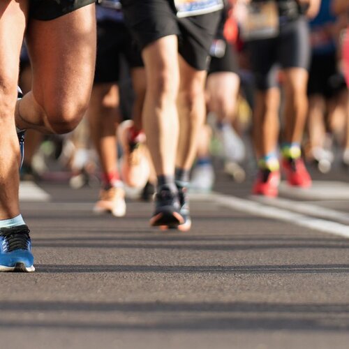 Calendario eventi e Attività sportive 