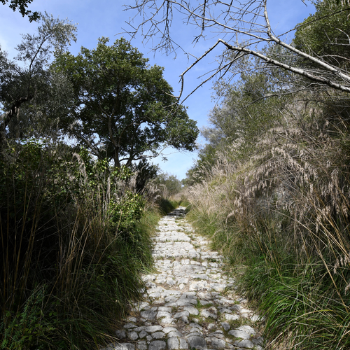 Trekking La Scala delle Rose - Guide Ambientali Iblee