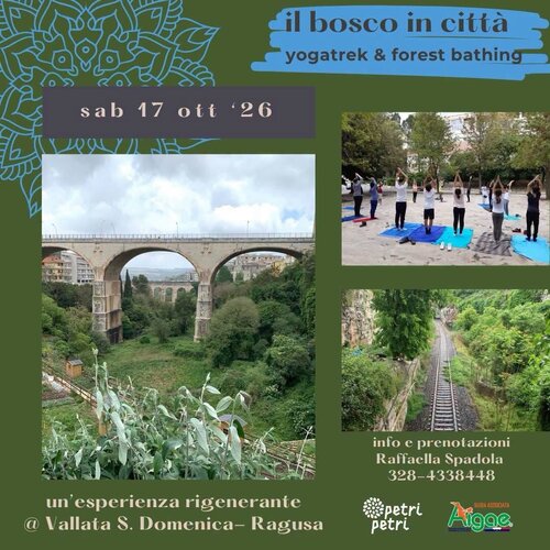 Il bosco in città - Yoga trekking e Forest bathing